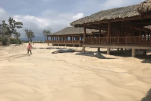 Màng chống thấm HDPE cho các hồ cảnh quan 3