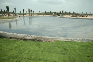 Màng chống thấm HDPE cho các hồ cảnh quan 4