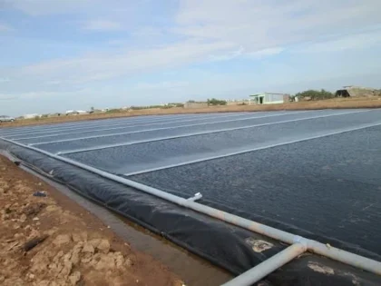 Màng chống thấm HDPE