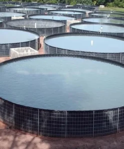 Sử dụng bạt nhựa làm hồ cá nổi