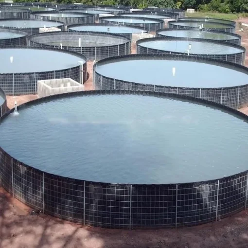 ho-nuoi-ca-noi Sử dụng bạt nhựa làm hồ cá nổi