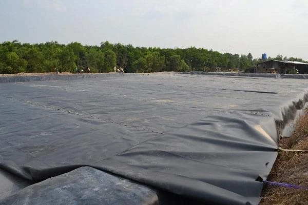 Màng chống thấm tự dính