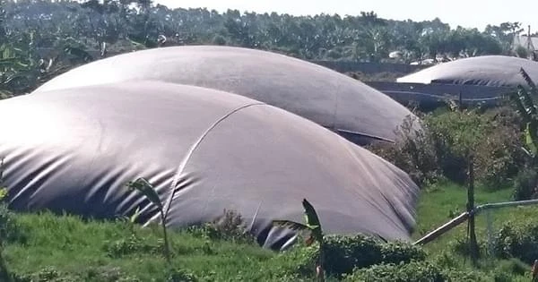 Tạo khí biogas bằng bạt chống thấm HDPE