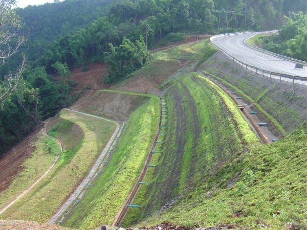 lưới địa kỹ thuật thi công tường chắn đất có cốt