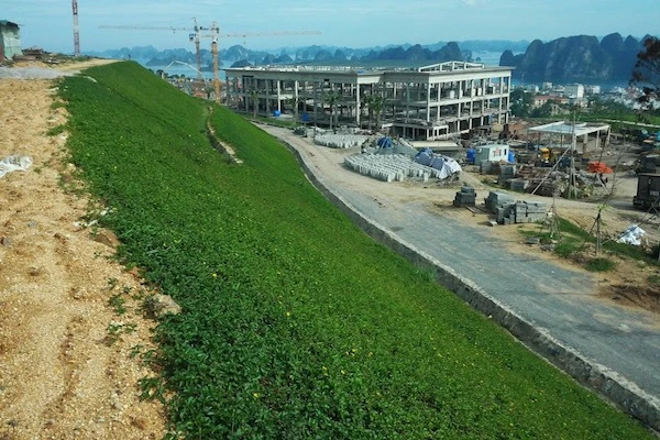 Ô địa kỹ thuật Geocell INDECOM