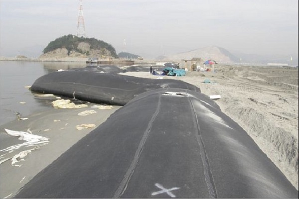 ống địa kỹ thuật geotube chống sạt lở bờ biển